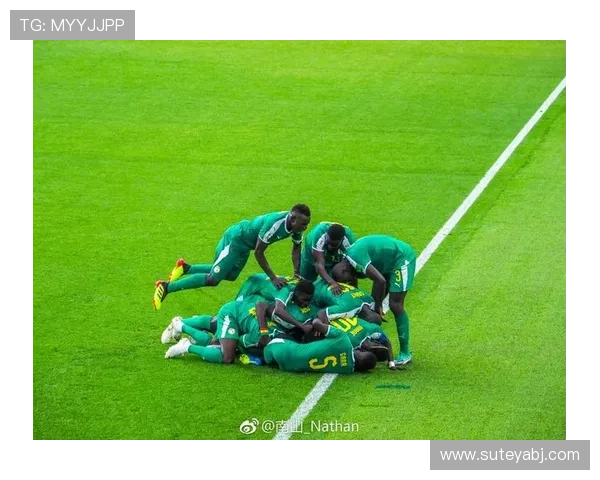 南京乒乓球队逆袭之旅：世界杯预选赛的奋斗与荣耀