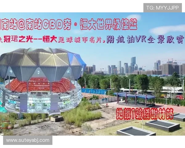 欧洲足球明星贴纸大全全景展示与收藏指南