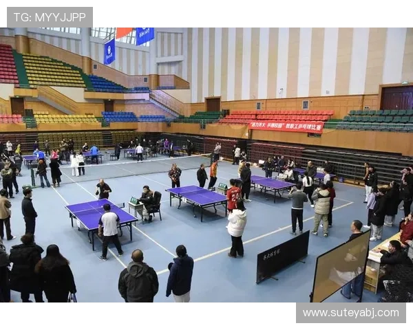 深圳乒乓球队团队协作变革引发热议与思考